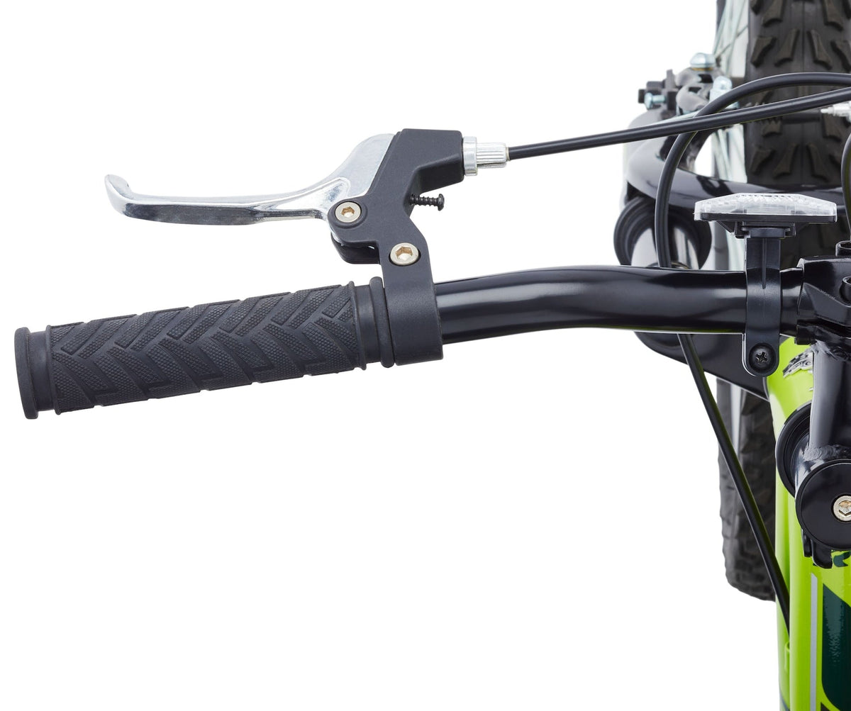 GOAT Youth Bike with V-brakes, 20-in, Green
