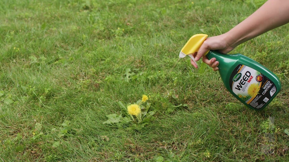 Weed B Gon MAX Ready-to-Use Weed Control/Killer, Herbicide for Lawns, 1-L