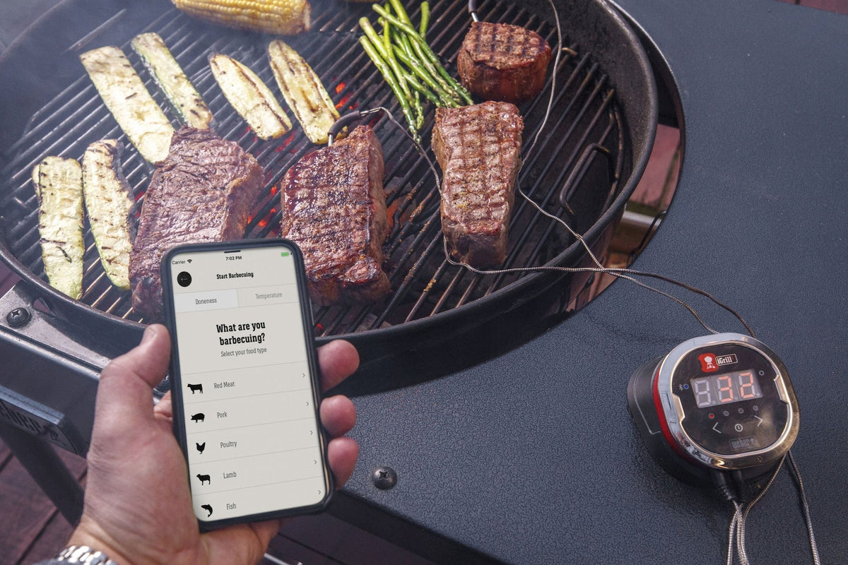 iGrill 2 Wireless Meat Thermometer with Stainless Steel Probes