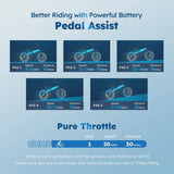 Alpha Joy Electric Bike for Adults 20 in, Rated 500W E-Bike 48V 13AH UL2849