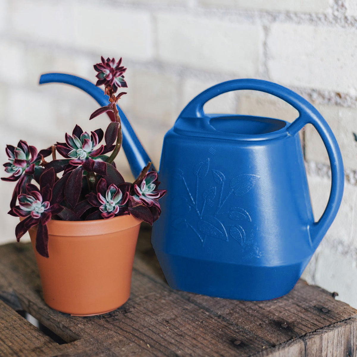 Indoor Plastic Watering Can, 4.25-L
