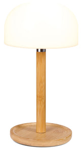CANVAS Outdoor Rechargable Bamboo Mushroom Lamp, Multiple Colour Modes