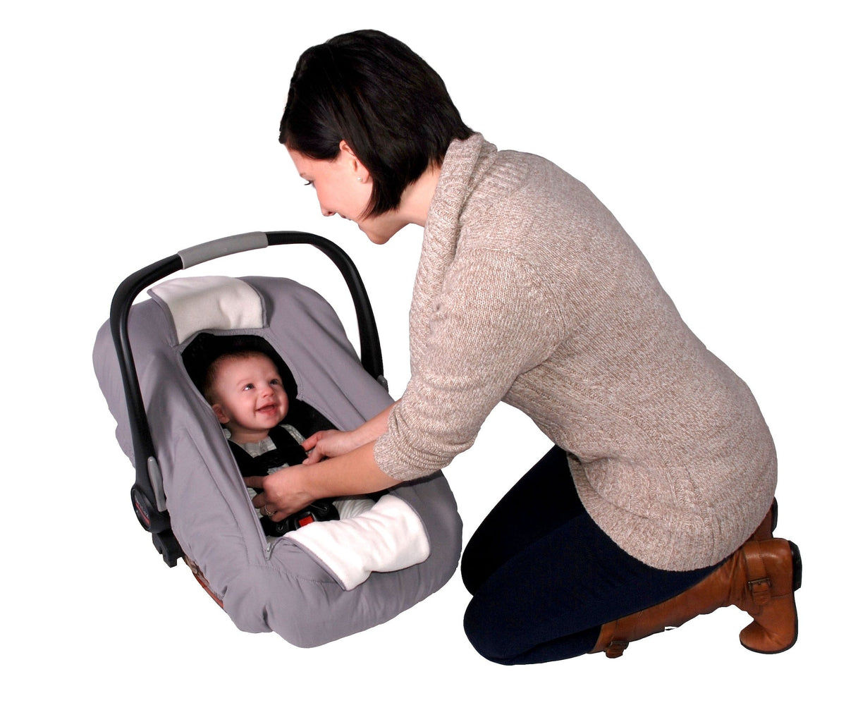Sneak-A-Peek Infant Car Seat Cover