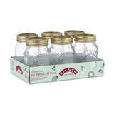 Regular Mouth Glass Mason Jars with Sealing Lids, 500 mL, 6 Count