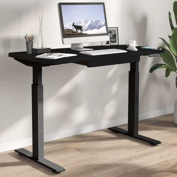 Motionwise 121.9 cm x 61 cm (48 in. x 24 in.) Height Adjustable Desk L4495