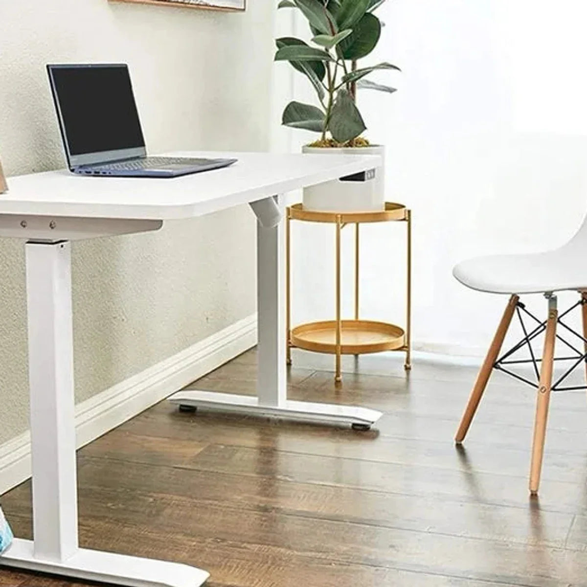 Motionwise 121.9 cm x 61 cm (48 in. x 24 in.) Single Motor Height Adjustable Desk