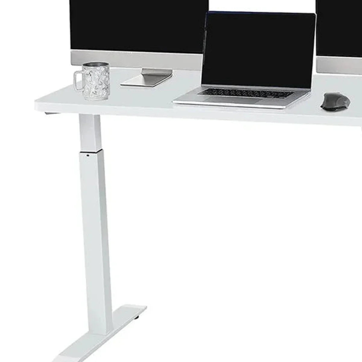 Motionwise 121.9 cm x 61 cm (48 in. x 24 in.) Single Motor Height Adjustable Desk