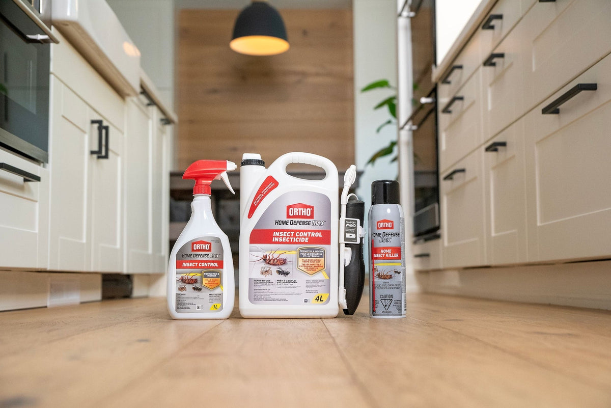 Home Defense MAX Perimeter & Indoor Liquid Ready-to-Use Insect Control, Insecticide, 4-L