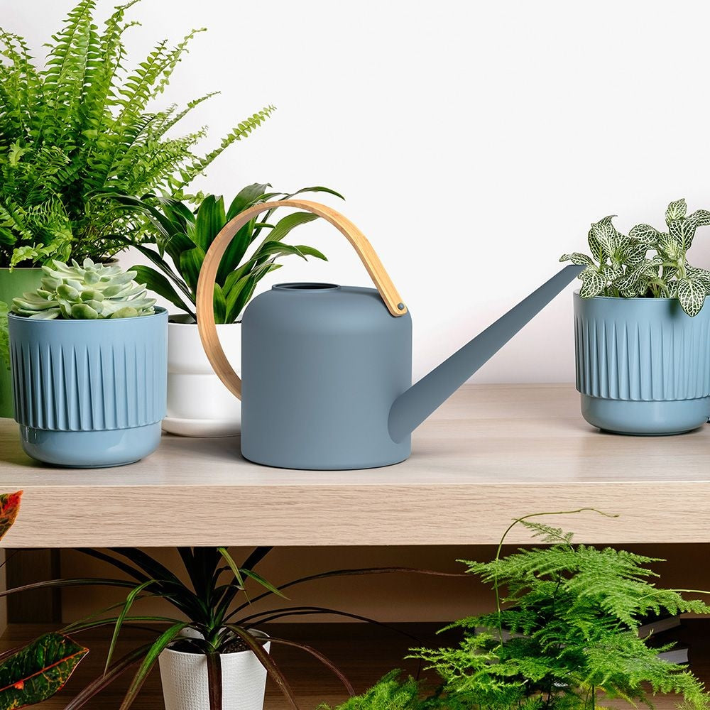 Metal Watering Can, Blue, 2.84-L