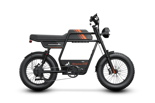 GT33 All-Terrain Cafe Racer Cargo Electric Bike L3238