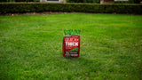 Turf Builder Quick + Thick Grass Seed Sunny Bluegrass Mix, 12-0-0, 1.2-kg
