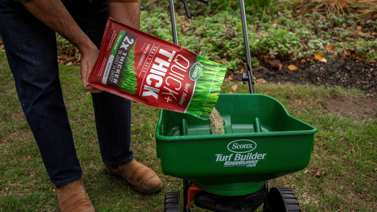 Turf Builder Quick + Thick Grass Seed Sunny Bluegrass Mix, 12-0-0, 1.2-kg