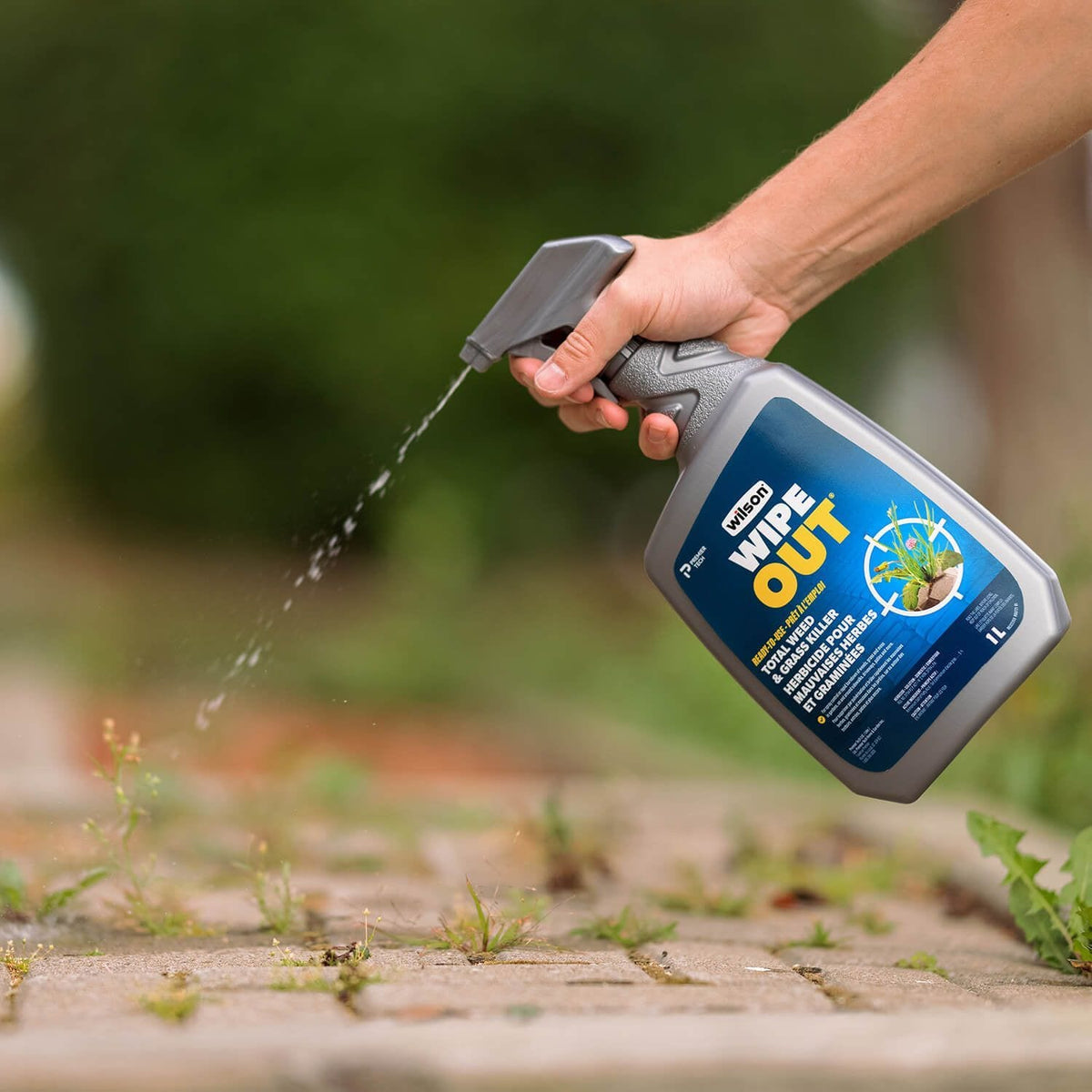Wipe Out Ready-to-Use Total Weed & Grass Killer, Herbicide Sprayer, 1-L